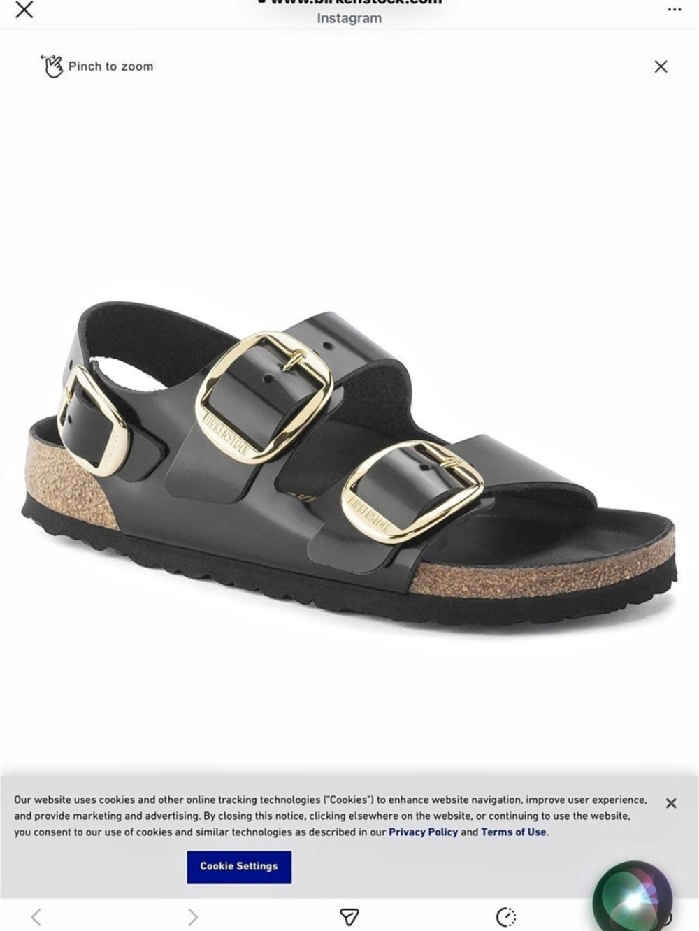 Birkenstock Milano Big Buckle Sandals in Black & Brown